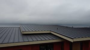 Best Green or Eco-Friendly Roofing Solutions  in Speers, PA